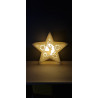 Led décor Christmas star